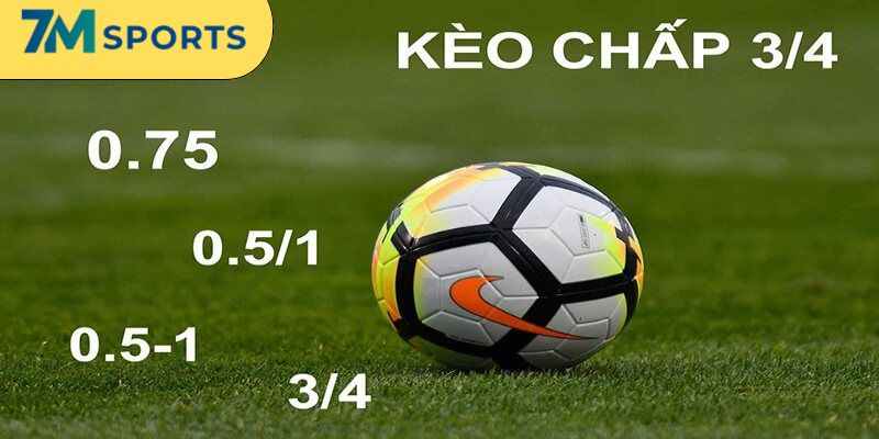 Bảng tỷ lệ kèo chấp tại 7m đầy đủ