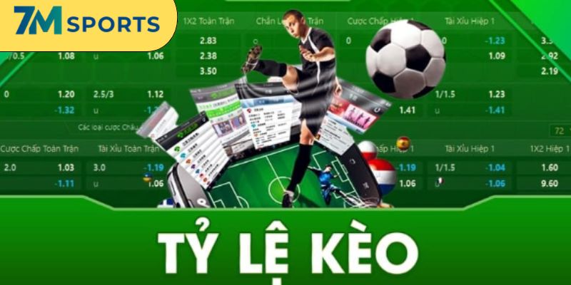 Kết hợp dữ liệu phù hợp để lựa chọn đúng