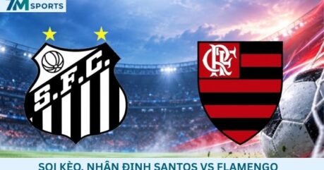Soi kèo Santos vs Flamengo 05h30 ngày 09/10/2026